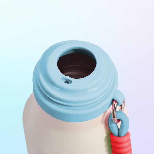 316 stainless steel insulated bottle e392(1)