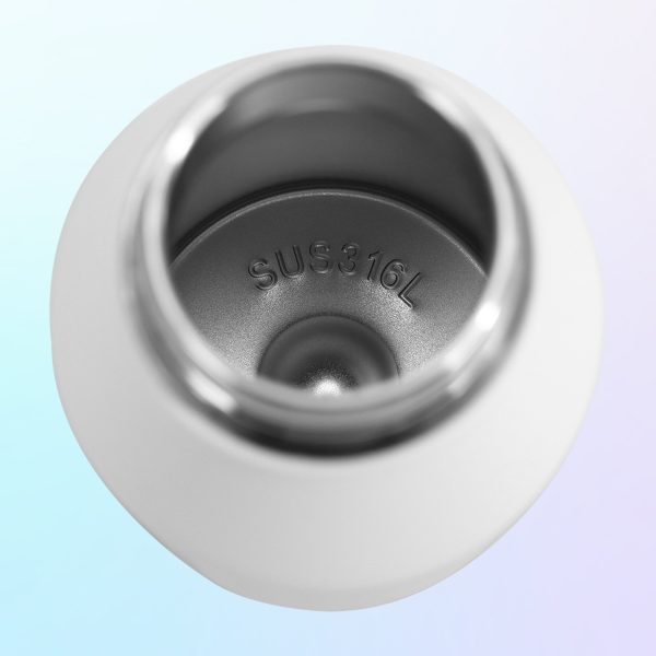 316 stainless steel insulated bottle e392(2)