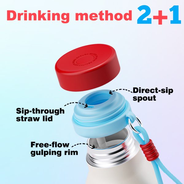 316 stainless steel insulated bottle e392(4)