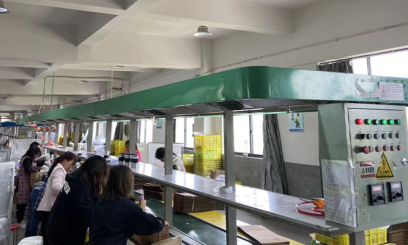 Final Inspection Manual Packaging Line